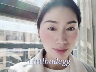 Littlbadegg