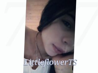 LittleflowerTS