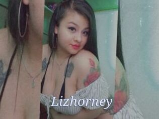 Lizhorney