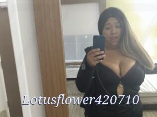 Lotusflower420710