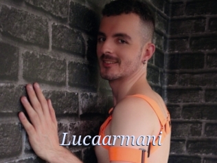 Lucaarmani