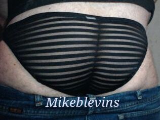 Mikeblevins