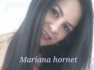 Mariana_hornet