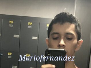 Mariofernandez