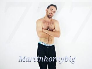 Martinhornybig