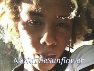 NaNaTheSunflower