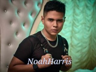 NoahHarris