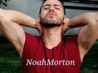 NoahMorton