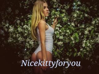 Nicekittyforyou