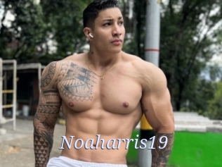 Noaharris19