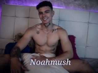 Noahmush