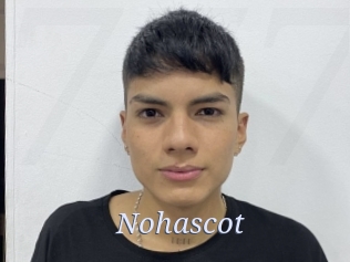 Nohascot