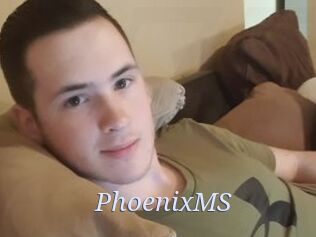 PhoenixMS