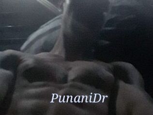 PunaniDr