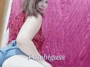 Pambigass