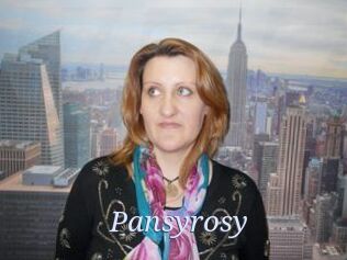 Pansyrosy