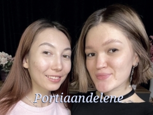 Portiaandelene