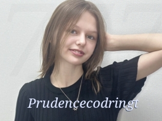 Prudencecodringt