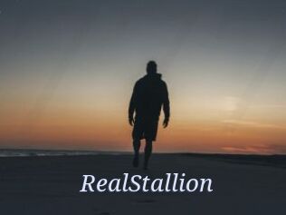 RealStallion