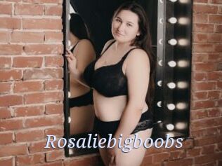 Rosaliebigboobs