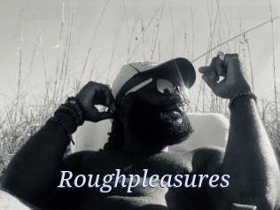 Roughpleasures