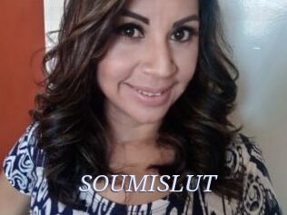 SOUMISLUT