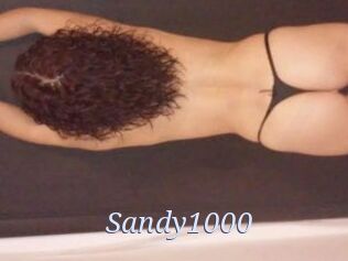 Sandy1000