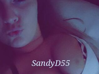 SandyD55