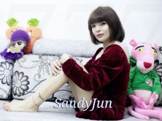 SandyJun