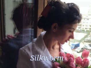 Silkworm