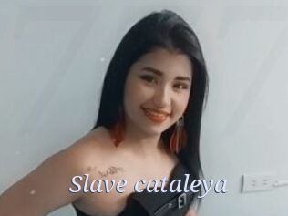 Slave_cataleya