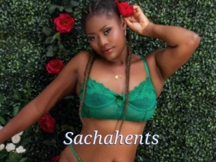 Sachahents