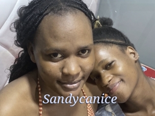 Sandycanice