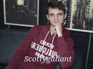 Scottygallant