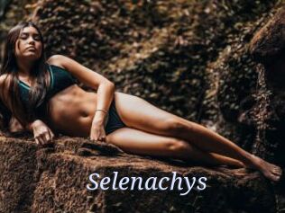 Selenachys