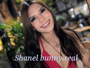 Shanel_bunny_real