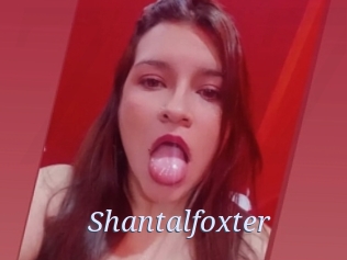 Shantalfoxter