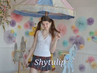 Shytulip