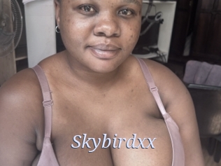 Skybirdxx