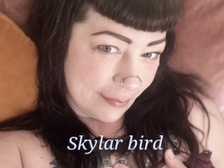 Skylar_bird