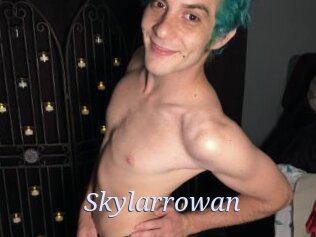 Skylarrowan