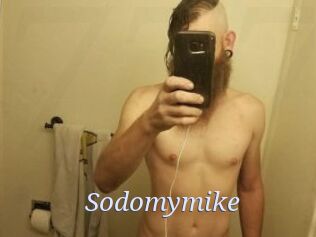 Sodomymike