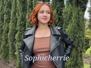 Sophicherrie