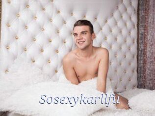 Sosexykarllfu