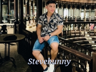 Stevebunny