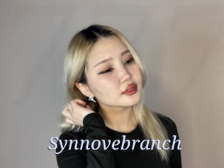 Synnovebranch