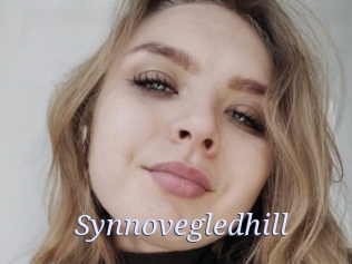 Synnovegledhill