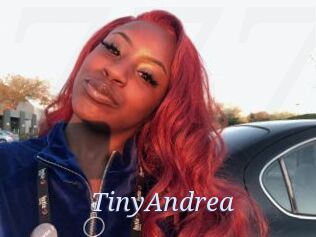 TinyAndrea