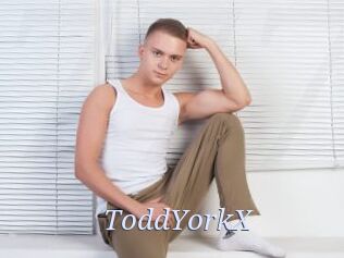 ToddYorkX