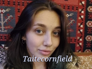 Taitecornfield